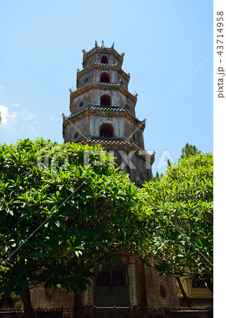 ベトナム ティエムー寺院 ベトナム ティエムー寺院 43714958