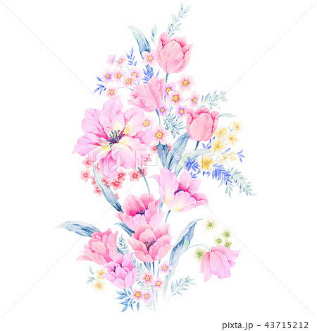 透明水彩 水彩画 花のイラスト素材 43715212 Pixta