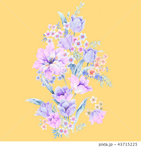 透明水彩 水彩画 花 43715225