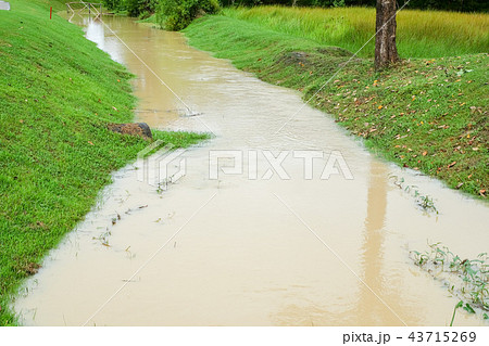 Small canal through garden in garden of golfcourse Small canal through garden in garden of golfcourse 43715269