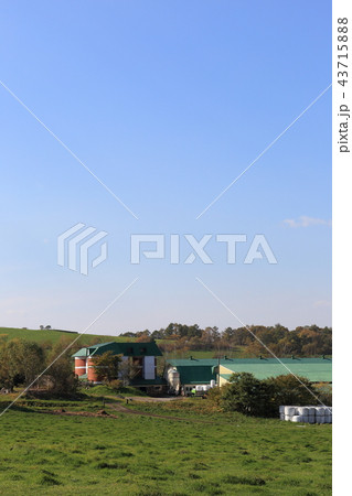 北海道　胆振地方　牧場のある風景 43715888