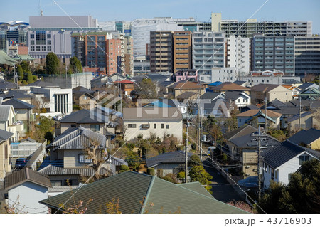 一戸建てとマンション 一戸建てとマンション 43716903