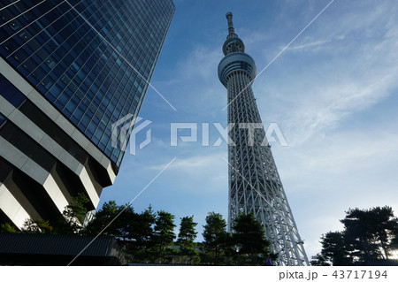 そびえ立つ東京スカイツリー そびえ立つ東京スカイツリー 43717194