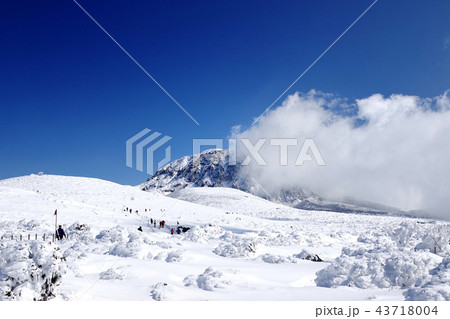 ヨンシル 43718004