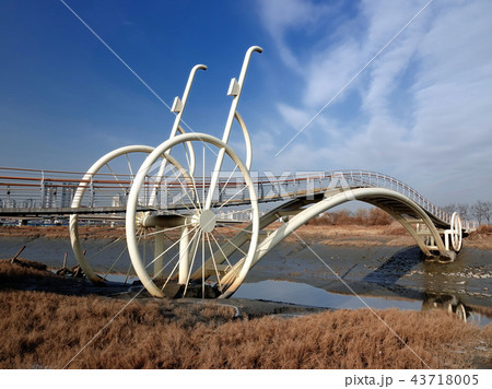 微生物の足 自転車の脚 43718005