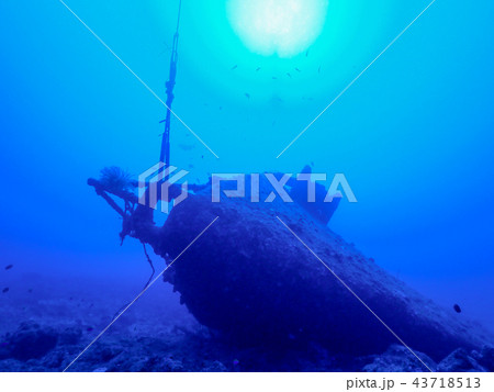 沈船ダイビング 43718513
