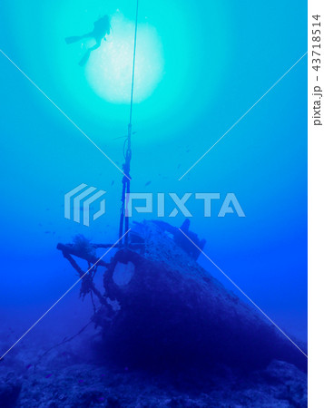 沈船ダイビング 43718514