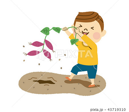 芋掘りをする男性のイラスト素材