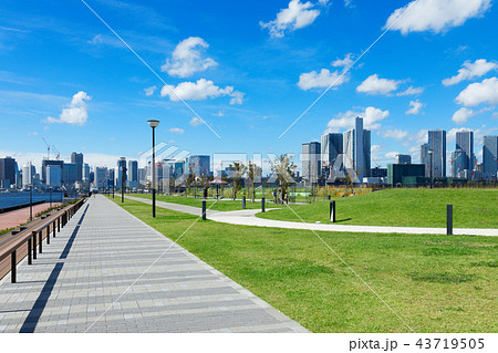 豊洲ぐるり公園と建設中の晴海ふ頭のオリンピック選手村 豊洲ぐるり公園と建設中の晴海ふ頭のオリンピック選手村 43719505