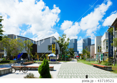 豊洲まちなみ公園 豊洲まちなみ公園 43719521