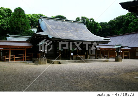 武蔵野国の一宮・氷川神社 武蔵野国の一宮・氷川神社 43719572
