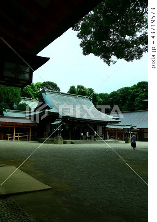 武蔵野国の一宮・氷川神社 43719573