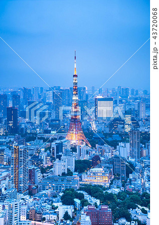 東京　くもり　夜景　東京タワー 43720068