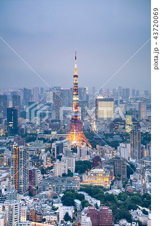 東京　くもり　夜景　東京タワー 43720069