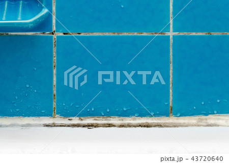 dirty bathroom with mold and water drops on blue tile closeup 43720640