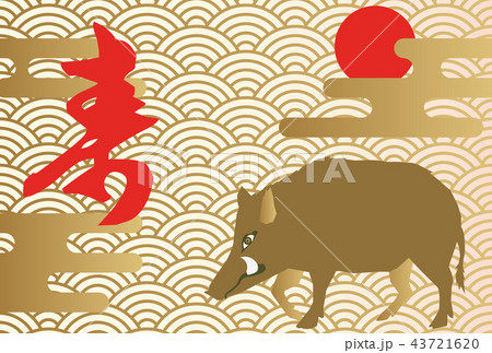 イノシシの年賀状。縁起の良いイラスト。亥年の年賀状。新春の素材。 43721620
