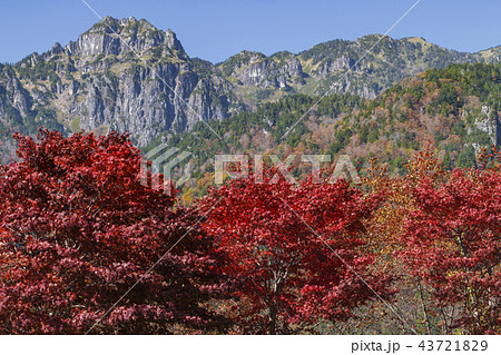 紅葉の錫杖岳 紅葉の錫杖岳 43721829