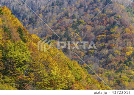 奥飛騨温泉郷の秋 43722012