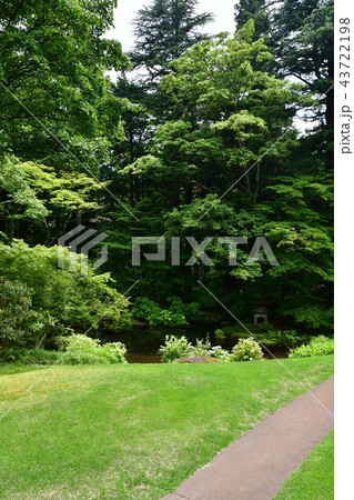 田母沢御用邸43 43722198