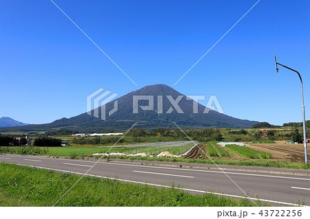 真狩村、光地区から見る晩夏の羊蹄山 43722256