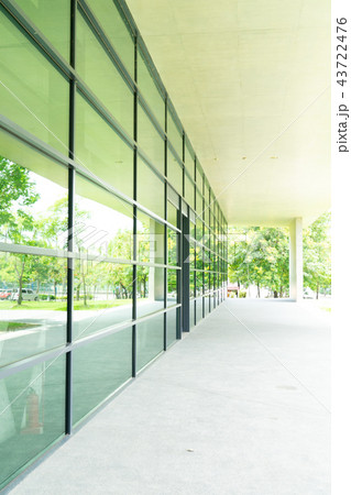 大学 大岳 学校 43722476