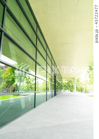 大学 大岳 学校 43722477