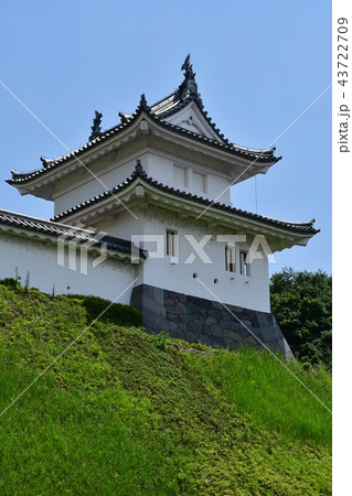 宇都宮城30 43722709