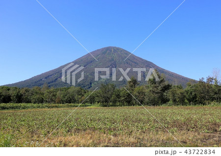 真狩村、新陽地区から見る晩夏の羊蹄山 43722834