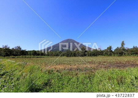 真狩村、新陽地区から見る晩夏の羊蹄山 43722837