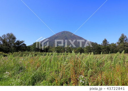 真狩村、新陽地区から見る晩夏の羊蹄山 43722841