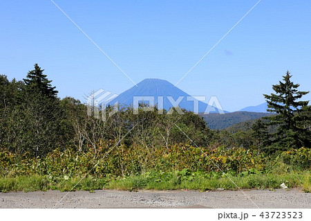 中山峠、峠の茶屋から見る晩夏の羊蹄山 43723523