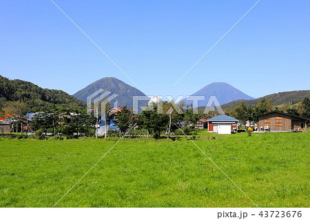 喜茂別町中里地区から見る晩夏の羊蹄山と尻別岳 43723676