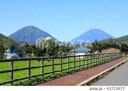 喜茂別町中里地区から見る晩夏の羊蹄山と尻別岳 43723677