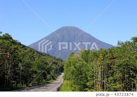 喜茂別町相川地区から見る晩夏の羊蹄山 43723874