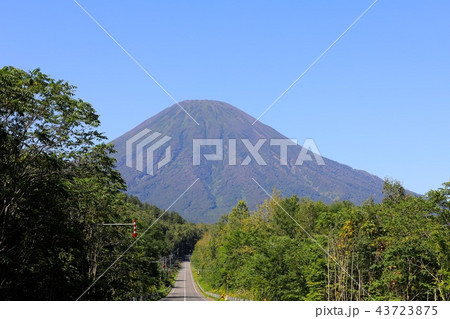 喜茂別町相川地区から見る晩夏の羊蹄山 43723875