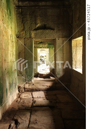 タ・プローム タ・プローム 43724517