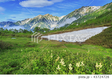 栂池自然園 43724726
