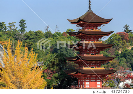 紅葉の宮島 厳島神社 秋 遠景の写真素材