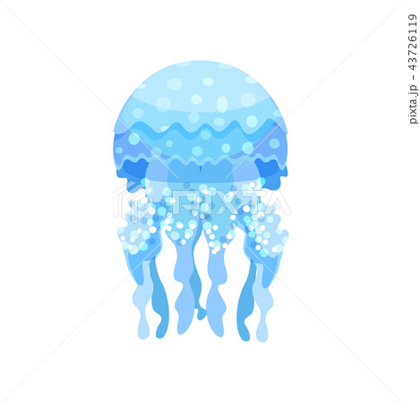 Beautiful transparent jellyfish sea creature vector Illustration on a white background Beautiful transparent jellyfish sea creature vector Illustration on a white background 43726119