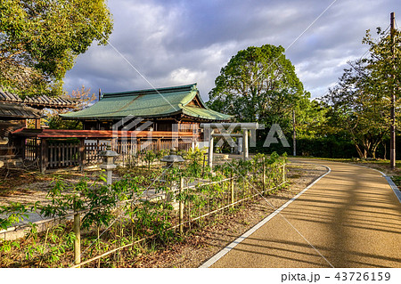 大和郡山城 本丸柳沢神社 大和郡山城 本丸柳沢神社 43726159