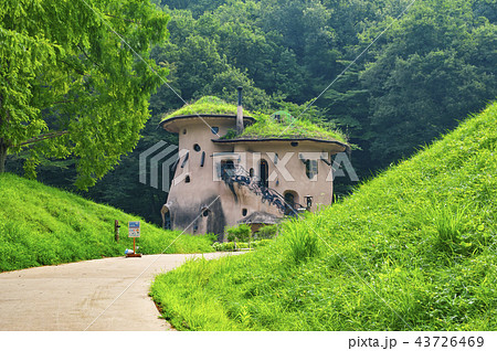 夏のあけぼの子どもの森公園 きのこの家の写真素材