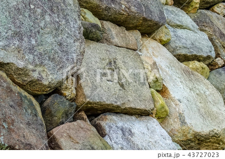 大和郡山城 天守台転用石 大和郡山城 天守台転用石 43727023