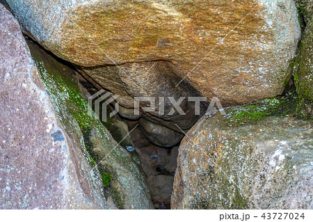 逆さ地蔵 天守台転用石 大和郡山城 逆さ地蔵 天守台転用石 大和郡山城 43727024