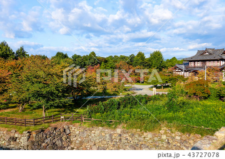 常盤曲輪の紅葉  奈良大和郡山城跡 43727078