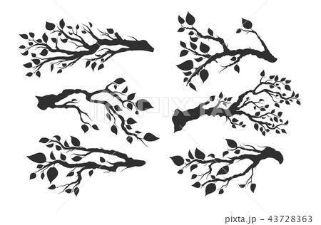 tree branches with leaves isolated 43728363