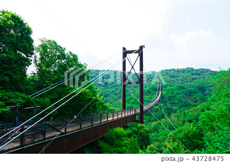 山の巨大な吊り橋 山の巨大な吊り橋 43728475