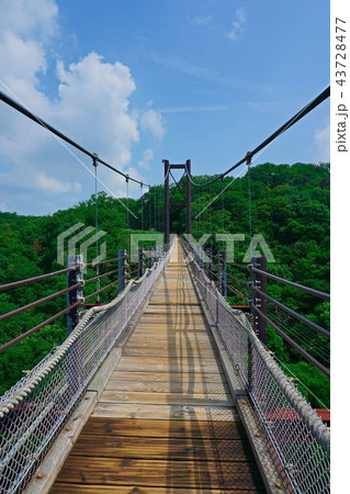 山の巨大な吊り橋 山の巨大な吊り橋 43728477