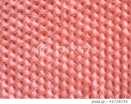 top view on skin colored cell pattern 43728734