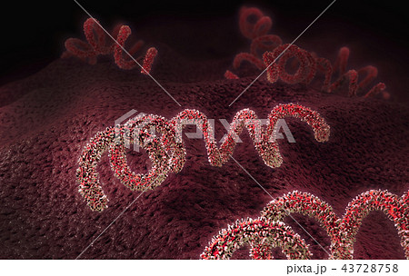3d illustration of a syphilis pathogen 43728758