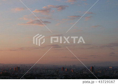 大阪の夜明け 43729167